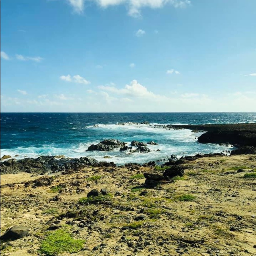 Meet your Posher, Kristina